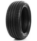 картинка Delinte DS2 245/40 R17 95Y от Свежаяшина.рф