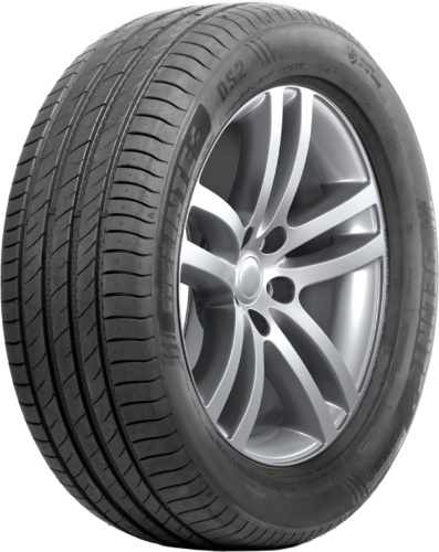 Delinte DS-2 SUV 255/45 R20 105W